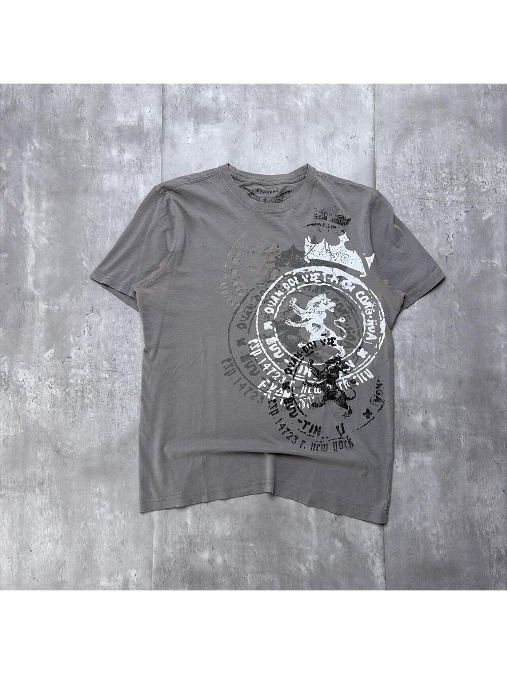 Y2K Grey Express Grunge Gothic Distressed Skater T-Shirt